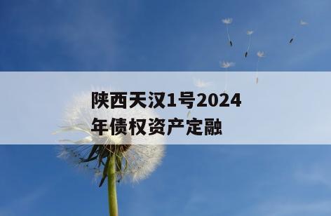 陕西天汉1号2024年债权资产定融