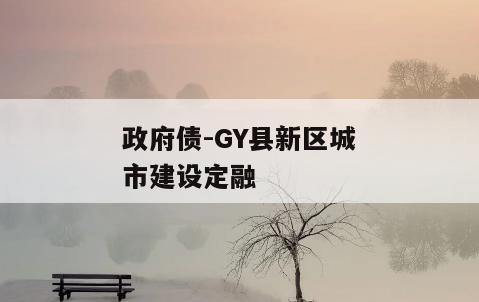 政府债-GY县新区城市建设定融