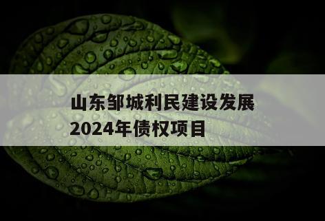 山东邹城利民建设发展2024年债权项目