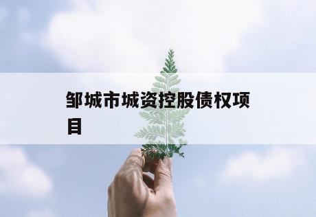 邹城市城资控股债权项目