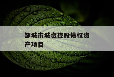 邹城市城资控股债权资产项目