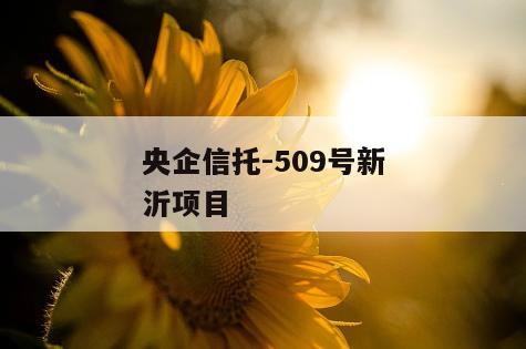 央企信托-509号新沂项目