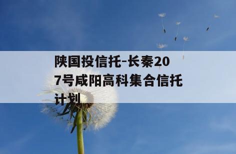陕国投信托-长秦207号咸阳高科集合信托计划