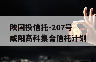 陕国投信托-207号咸阳高科集合信托计划