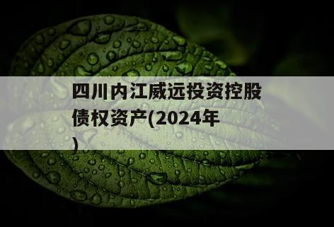 四川内江威远投资控股债权资产(2024年)