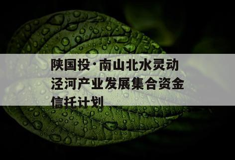 陕国投·南山北水灵动泾河产业发展集合资金信托计划