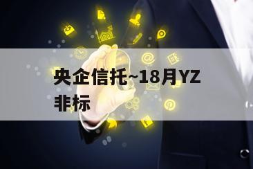 央企信托~18月YZ非标