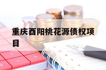 重庆酉阳桃花源债权项目