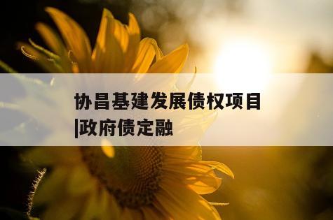 协昌基建发展债权项目|政府债定融