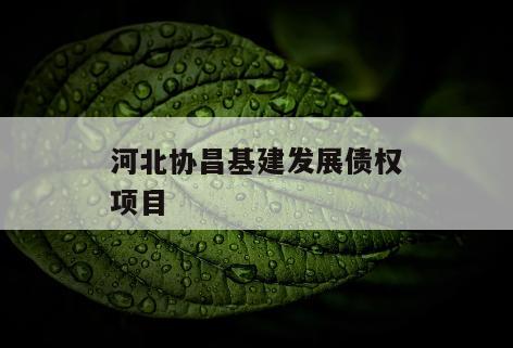 河北协昌基建发展债权项目