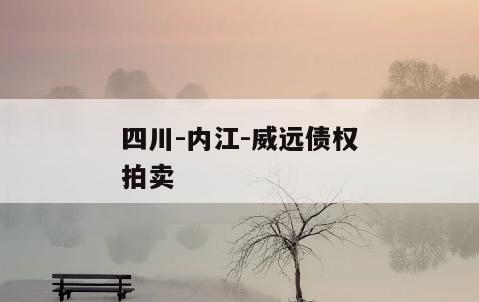 四川-内江-威远债权拍卖
