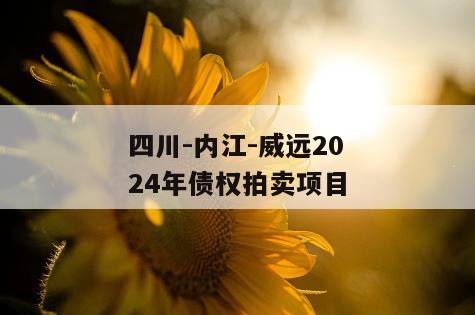 四川-内江-威远2024年债权拍卖项目
