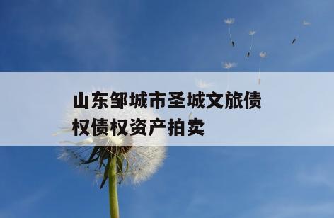 山东邹城市圣城文旅债权债权资产拍卖