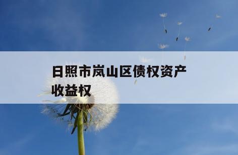 日照市岚山区债权资产收益权