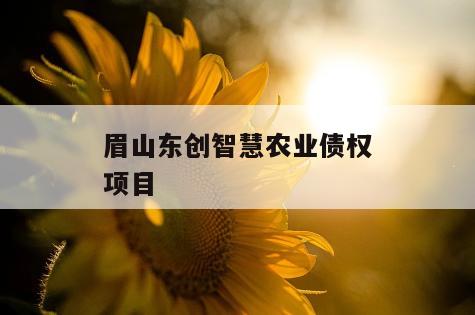 眉山东创智慧农业债权项目