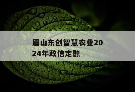 眉山东创智慧农业2024年政信定融