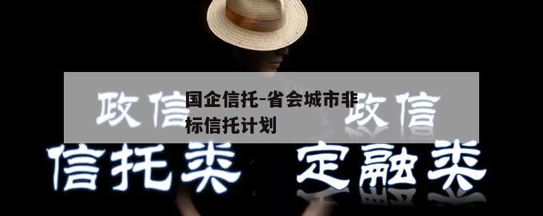 国企信托-省会城市非标信托计划