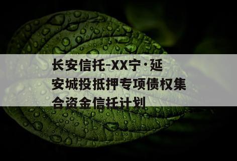 长安信托-XX宁·延安城投抵押专项债权集合资金信托计划