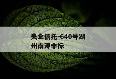 央企信托-640号湖州南浔非标