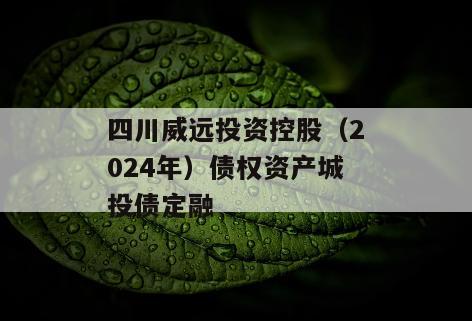 四川威远投资控股（2024年）债权资产城投债定融
