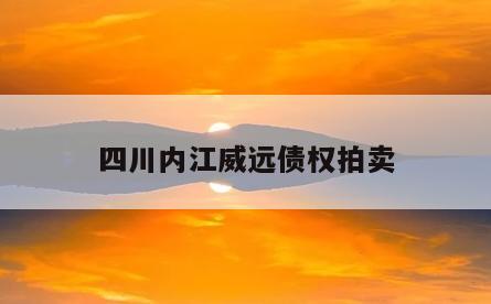 四川内江威远债权拍卖