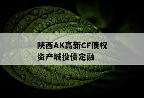 陕西AK高新CF债权资产城投债定融