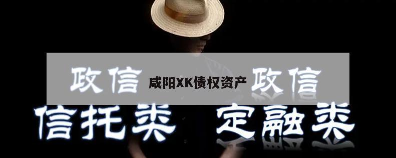 咸阳XK债权资产