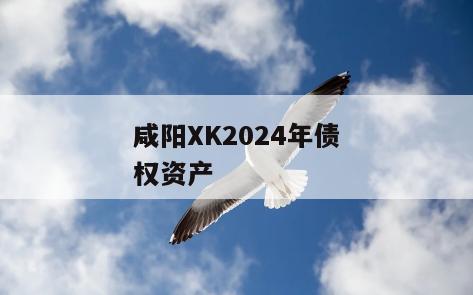 咸阳XK2024年债权资产