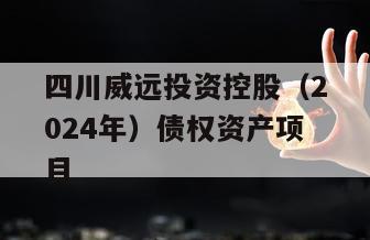 四川威远投资控股（2024年）债权资产项目