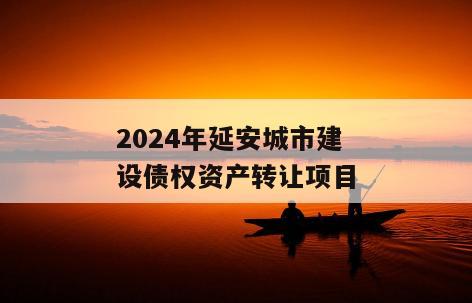 2024年延安城市建设债权资产转让项目