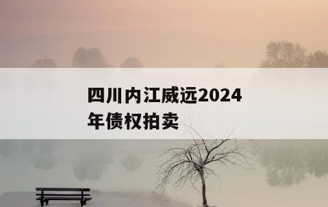 四川内江威远2024年债权拍卖