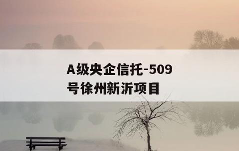 A级央企信托-509号徐州新沂项目