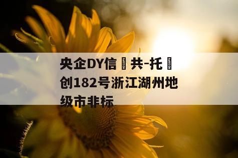 央企DY信‮共-托‬创182号浙江湖州地级市非标