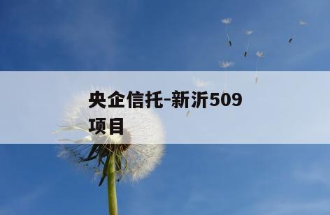 央企信托-新沂509项目