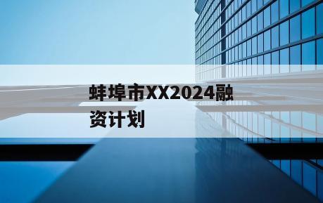 蚌埠市XX2024融资计划