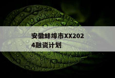 安徽蚌埠市XX2024融资计划