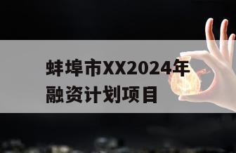 蚌埠市XX2024年融资计划项目