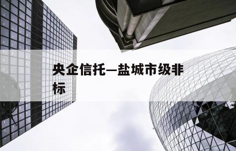 央企信托—盐城市级非标