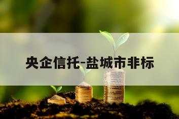 央企信托-盐城市非标