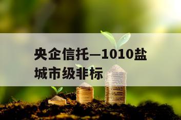 央企信托—1010盐城市级非标