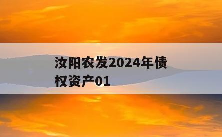 汝阳农发2024年债权资产01