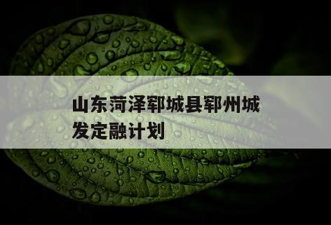 山东菏泽郓城县郓州城发定融计划
