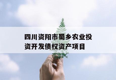 四川资阳市蜀乡农业投资开发债权资产项目