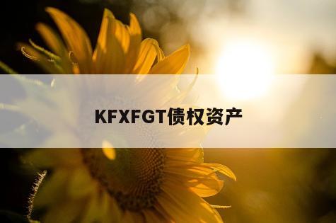 KFXFGT债权资产
