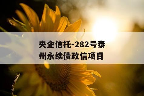 央企信托-282号泰州永续债政信项目