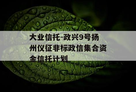 大业信托-政兴9号扬州仪征非标政信集合资金信托计划