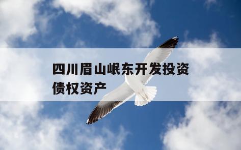 四川眉山岷东开发投资债权资产