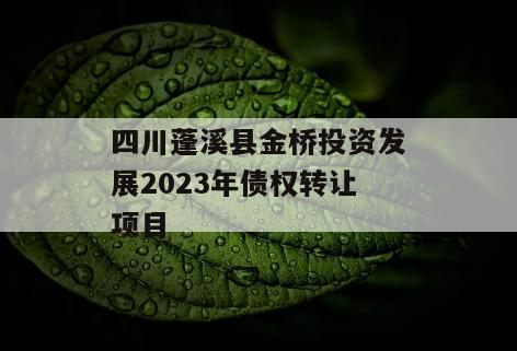 四川蓬溪县金桥投资发展2023年债权转让项目