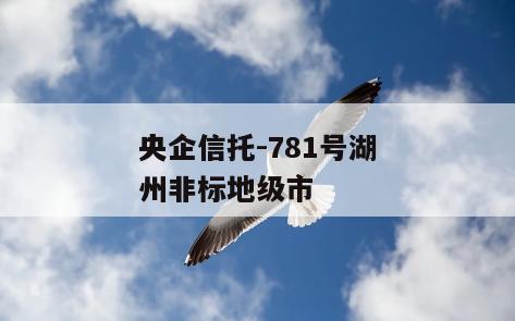 央企信托-781号湖州非标地级市