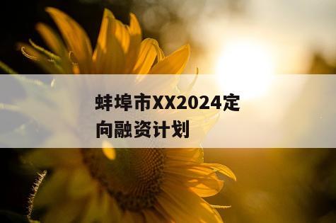 蚌埠市XX2024定向融资计划